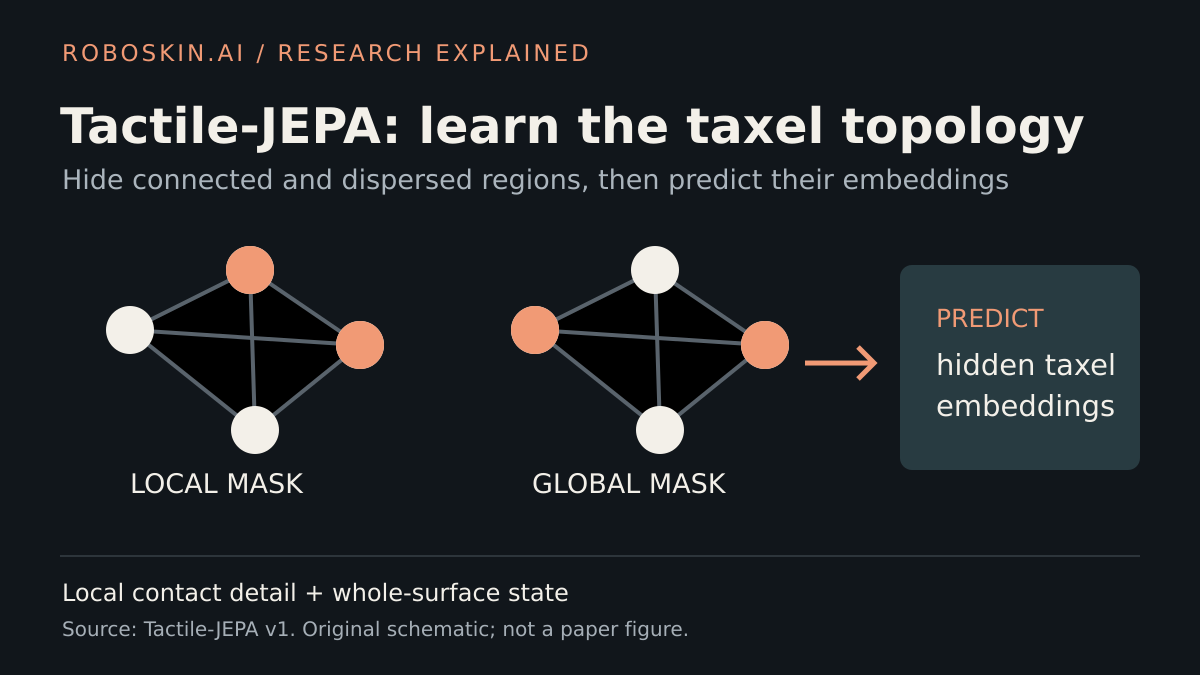 Diagram of local and global masks sampled over an irregular tactile taxel graph before representation learning.